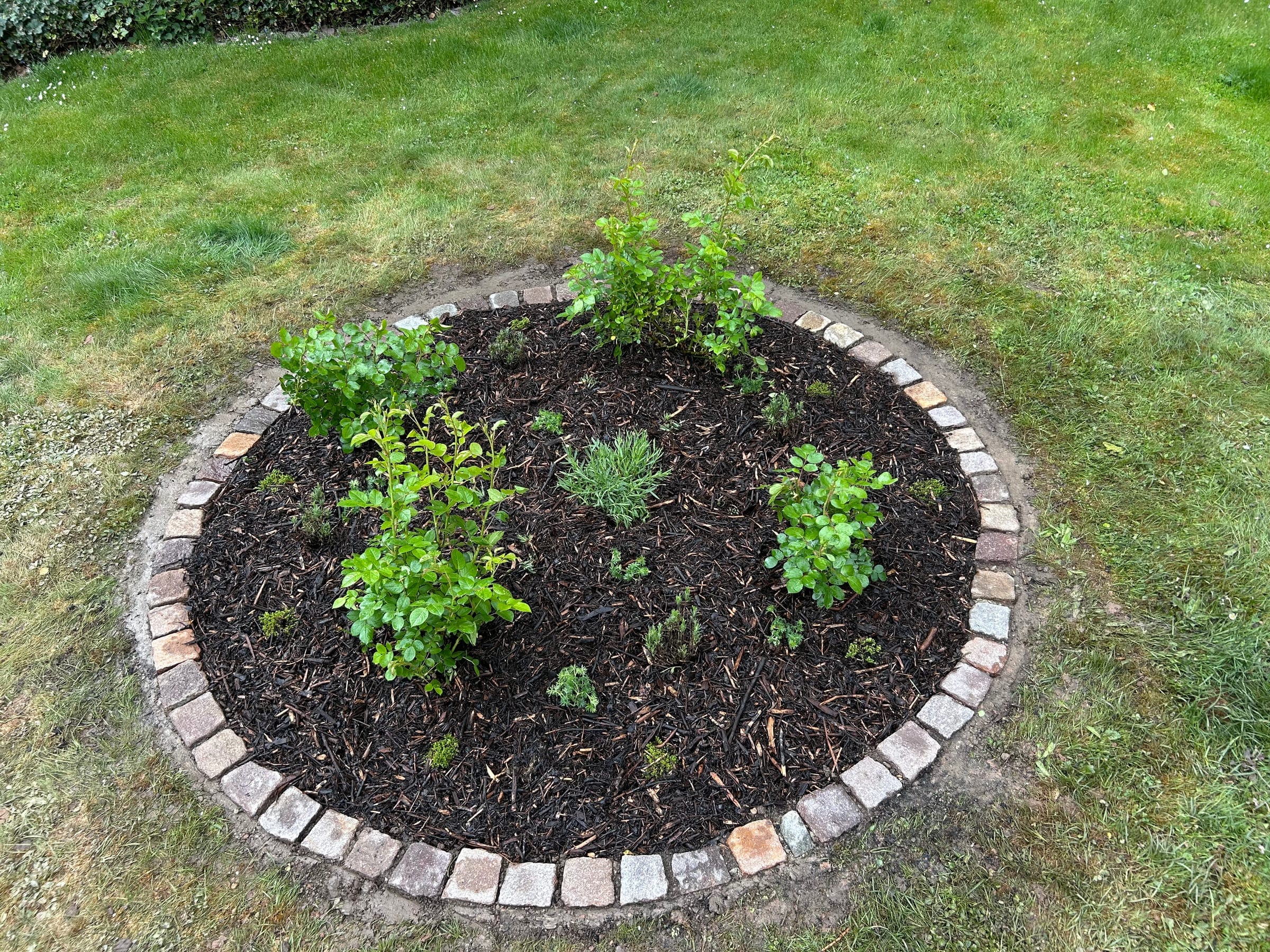 Neu angelegtes, kreisrundes Staudenbeet mit Naturstein-Einfassung — Beet-Neuanlage durch ReyBa