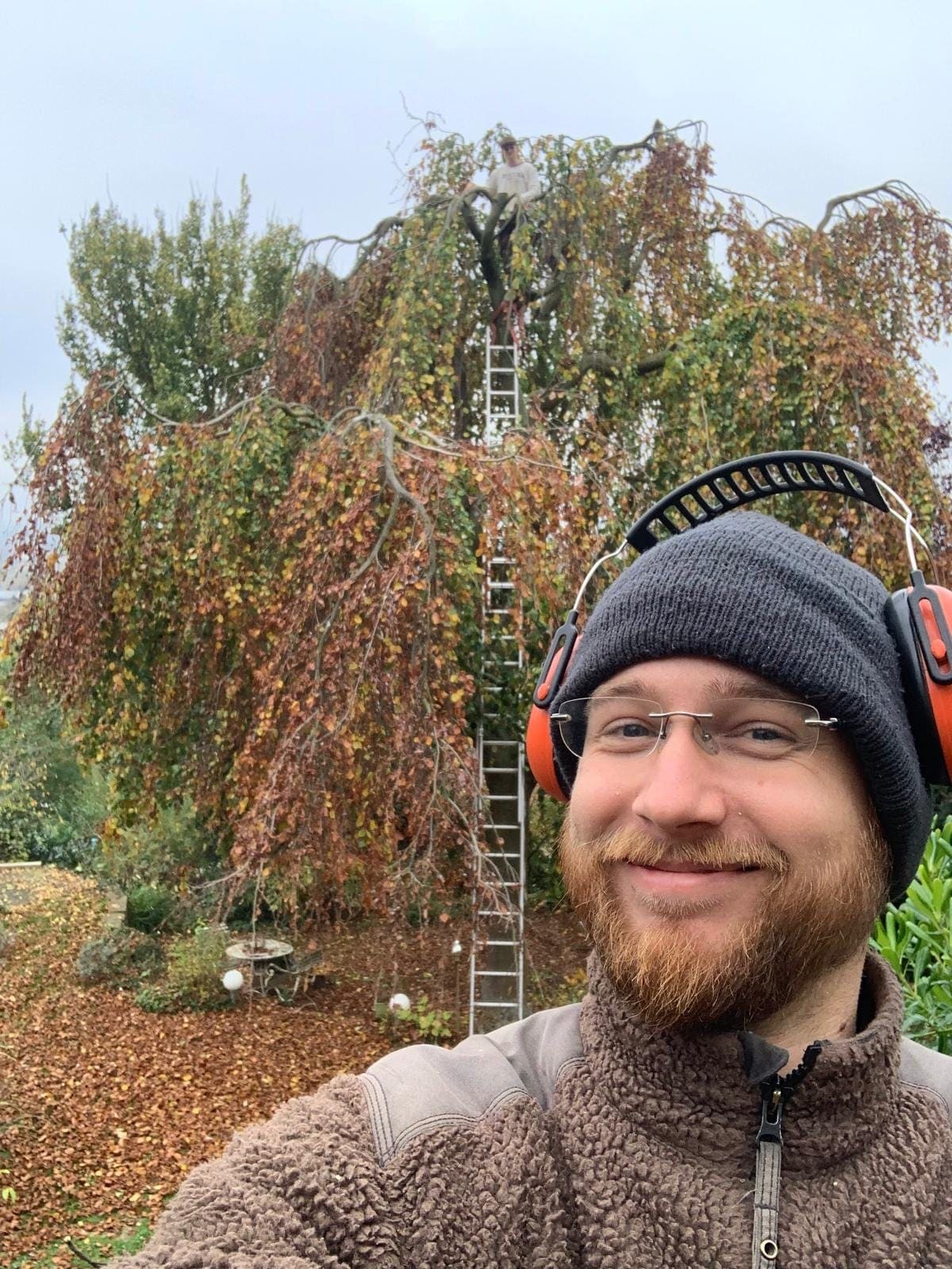 ReyBa-Mitarbeiter beim Baum-Einsatz vor einer herbstlichen Blutbuche
